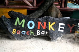 Monkey Beach Bar Phi Phi